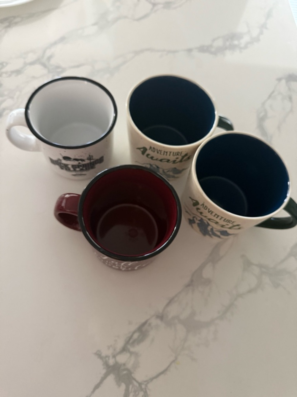 Set of 4 Coffee Cups Adventure Fall Rock Springs Pie